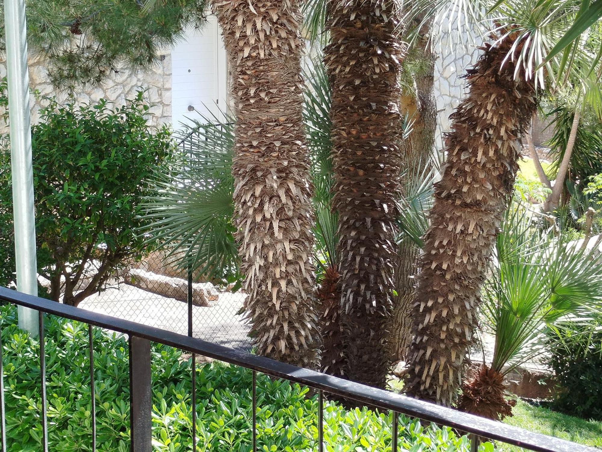 Brisa Del Mar Apartment Salou Exterior foto